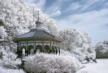 COMMUNITY TRAGEDY:  Snow renders Eden Park Gazebo inaccessible