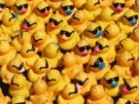 14th Annual Rubber Duck Regatta